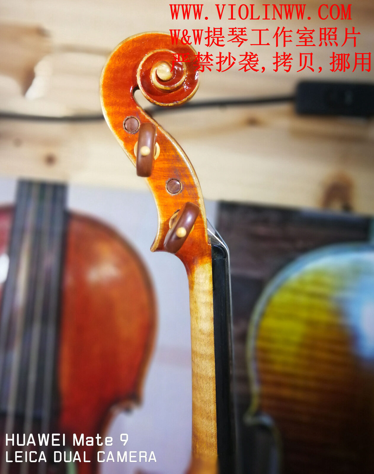 吴迪纯手工制作高级练习小提琴 4
