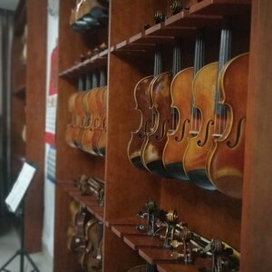 提琴展示